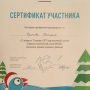 Участие в Зимней экономическокй школе